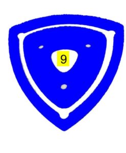 Orbital-Pad blau 17(430) 5 St.